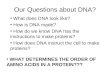 Our Questions about DNA? What does DNA look like? How is DNA made? How do we know DNA has the instructions to make proteins? How does DNA instruct the