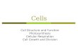 Cells Cell Structure and Function Photosynthesis Cellular Respiration Cell Growth and Division