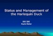 Status and Management of the Harlequin Duck BIO 586 Kayle Baker