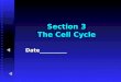 Section 3 The Cell Cycle Date__________ Human Cheek Cells… What are 3 reasons your body should be growing more cheek cells as we are talking ?