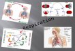 Respiration is a chemical process in which energy is released from food substances.  Respiration is a series of actions in which energy is released