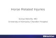 Horse Related Injuries Sonya Melville, MD University of Kentucky Chandler Hospital