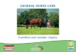 GENERAL HORSE CARE Transition year module - Equine