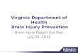 Virginia Department of Health Brain Injury Prevention Brain Injury Report Out Day July 26, 2013