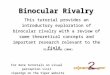 Binocular Rivalry This tutorial provides an introductory exploration of binocular rivalry with a review of some theoretical concepts and important research
