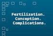 Fertilization. Conception. Complications.. 4 Phases of the Menstrual Cycle