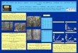 CROP TREE GROWTH AND QUALITY TWENTY- FIVE YEARS AFTER PRECOMMERCIAL THINNING IN A NORTHERN CONIFER STAND Leah M. Phillips 1, Robert S. Seymour 1, and Laura