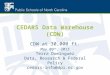 CEDARS Data Warehouse (CDW) CDW at 30,000 ft. May 09 th, 2013 Terra Dominguez Data, Research & Federal Policy cedars-info@dpi.nc.gov