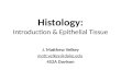 Histology: Introduction & Epithelial Tissue J. Matthew Velkey matt.velkey@duke.edu 452A Davison