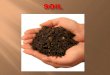 o Soils are a fertile, natural resource. o Soils develop / form from the weathering of rocks in one place and from re-deposited weathered materials