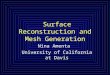 Surface Reconstruction and Mesh Generation Nina Amenta University of California at Davis