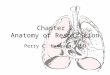 Chapter 2 Anatomy of Respiration Perry C. Hanavan, AuD