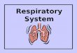Respiratory System Respiration The energy releasing process that is fueled by oxygen