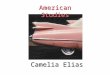 Camelia Elias American Studies. The Harlem Renaissance session 7 Harlem is vicious Modernism. Bang Clash. Vicious the way it's made, Can you stand such
