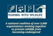A national coalition of over 5,000 organizations working together to prevent wildlife from becoming endangered