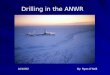 Drilling in the ANWR By: Ryan O’Neill10/16/02. Oil in Perspective In 2001, the U.S. consumption of oil was at a rate of 19 million barrels per day, which