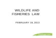 WILDLIFE AND FISHERIES LAW FEBRUARY 19, 2013. Overview Development of wildlife, fisheries law Wildlife management law (Ontario) Migratory Birds Convention