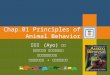 Chap.01 Principles of Animal Behavior 鄭先祐 (Ayo) 教授 國立台南大學 環境與生態學院 生態科學與技術學系 環境生態研究所 + 生態旅遊研究所