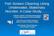 Fish Screen Cleaning Using Underwater, Stationary Nozzles A Case Study…… Michael Lambert, Fish Passage Engineer, Oregon Department of Fish and Wildlife