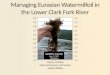 Managing Eurasian Watermilfoil in the Lower Clark Fork River Danny MacKay Natural Resource Technician Avista Utilities 3.0 2.9 2.8 2.7 2.6 2.5 2.4 2.3