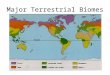 Major Terrestrial Biomes. What is a Biome? a complex biotic community characterized by distinctive plant and animal species and maintained under the climatic