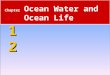 12 Chapter 12 Ocean Water and Ocean Life. Salinity 12.4 The Composition of Seawater  Salinity is the total amount of solid material dissolved in water