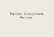 Marine Ecosystems Review. Ecology Ecology is the science that studies how living organisms relate to each other and their environment