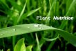 Plant Nutrition. Plant Diet ? ? So, what comes to mind when you hear of ‘Plant Nutrition’? Let’s discuss …