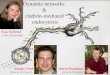Dynamic networks & clathrin-mediated endocytosis Gerrit Praefcke (now at Cologne) Marijn Ford (now at UC Davis) Eva Schmid (LMB Cambridge)