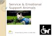 Service & Emotional Support Animals Presented by REAL CLASS INC
