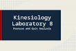 Kinesiology Laboratory 8 Posture and Gait Analysis