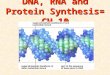 DNA, RNA and Protein Synthesis= CH 10. Griffith’s Experiments Showed that hereditary material can pass from one bacterial cell to anotherShowed that hereditary