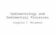 Sedimentology and Sedimentary Processes Virginia T. McLemore