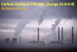 Carbon Cycles & Climate Change (4.3-4.4) IB Diploma Biology