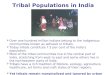 Tribal Populations in India  Over one hundred million Indians belong to the indigenous communities known as adivasis or tribals.  Today tribals constitute
