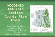 WOODSHED ANALYSIS Addison County Five Towns Analysis by Marc Lapin, Chris Rodgers, & David Brynn Winter/Spring 2009