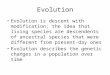 Evolution Evolution is descent with modification; the idea that living species are descendents of ancestral species that were different from present-day