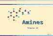 23-1 Amines Chapter 23. 23-2 Structure & Classification  Amines are classified as: 1°, 2°, or, 3° amines:1°, 2°, or, 3° amines: Amines in which there