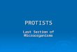 PROTISTS Last Section of Microorganisms. Lesson Outline:  3 Types of Protists  Classification: Locomotion Locomotion Feeding Feeding Reproduction Reproduction