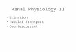 Renal Physiology II Urination Tubular Transport Countercurrent