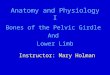 Anatomy and Physiology I Bones of the Pelvic Girdle And Lower Limb Instructor: Mary Holman