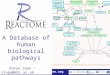 Www.reactome.org May 2012 1 A Database of human biological pathways Steve Jupe - sjupe@ebi.ac.uk