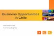 Business Opportunities in Chile Eliel Hasson Nisis TLC ConsultingChile