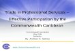Www. thecommonwealth.org Trade in Professional Services – Effective Participation by the Commonwealth Caribbean Commonwealth Secretariat May 2006 Barbados