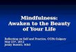 Mindfulness: Awaken to the Beauty of Your Life Reflecting on Self and Practice, CCPA Calgary May 25 th, 2012 Jenny Rowett, MEd