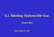 G.I. Bleeding: Radionuclide Scan Gianni Bisi Torino, March 31, 2006