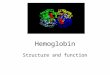 Hemoglobin Structure and function. Conformational changes Conformational changes in proteins are critical for their functions and regulations. Changes