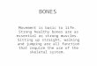 BONES Movement is basic to life. Strong healthy bones are as essential as strong muscles. Sitting up straight, walking and jumping are all function that
