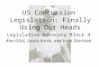 US Concussion Legislation: Finally Using Our Heads Legislative Advocacy Block 4 Alex Glick, Laura Kurek, and Evan Sherman