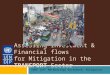 Assessing Investment & Financial flows for Mitigation in the TRANSPORT Sector UNDP I&FF Methodology Guidebook: Mitigation